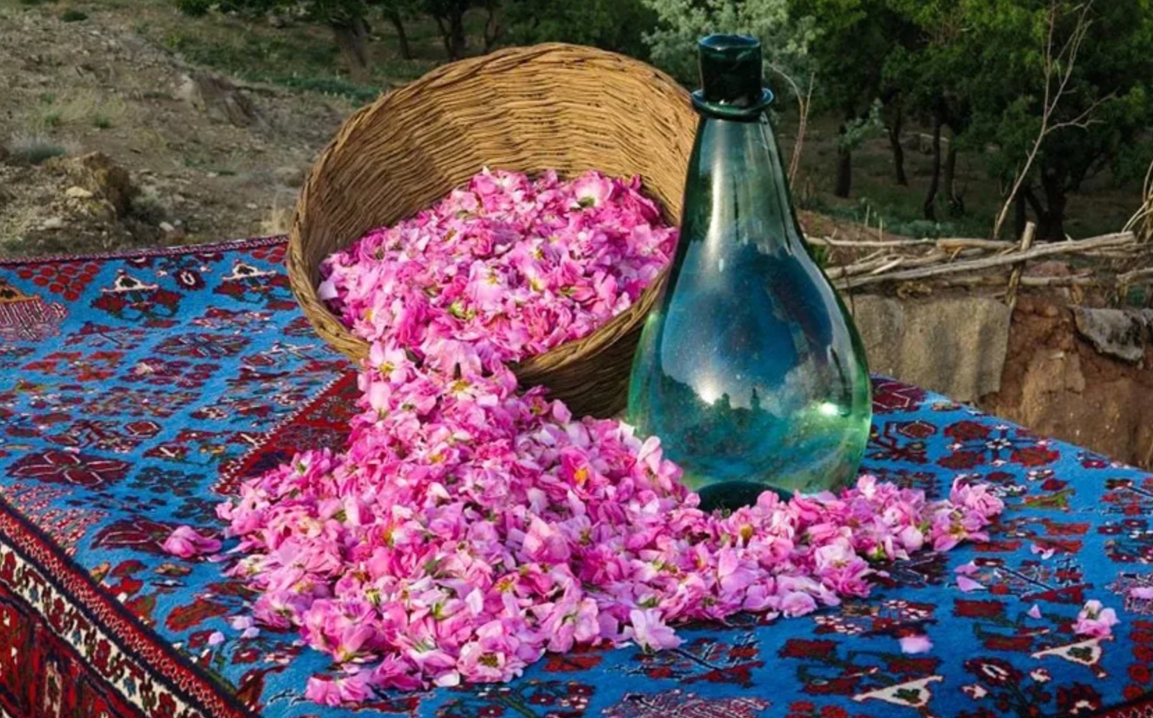 برند ۵: کاشان؛ عطری که از دل کویر به بهشت می‌رسد