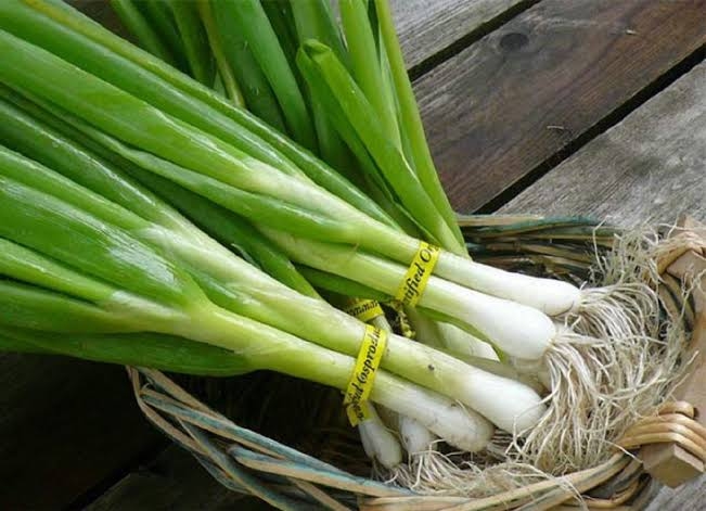 برند ۲۶: سیر و پیازچه کوهی؛ عطر زاگرس در سفره ایرانی